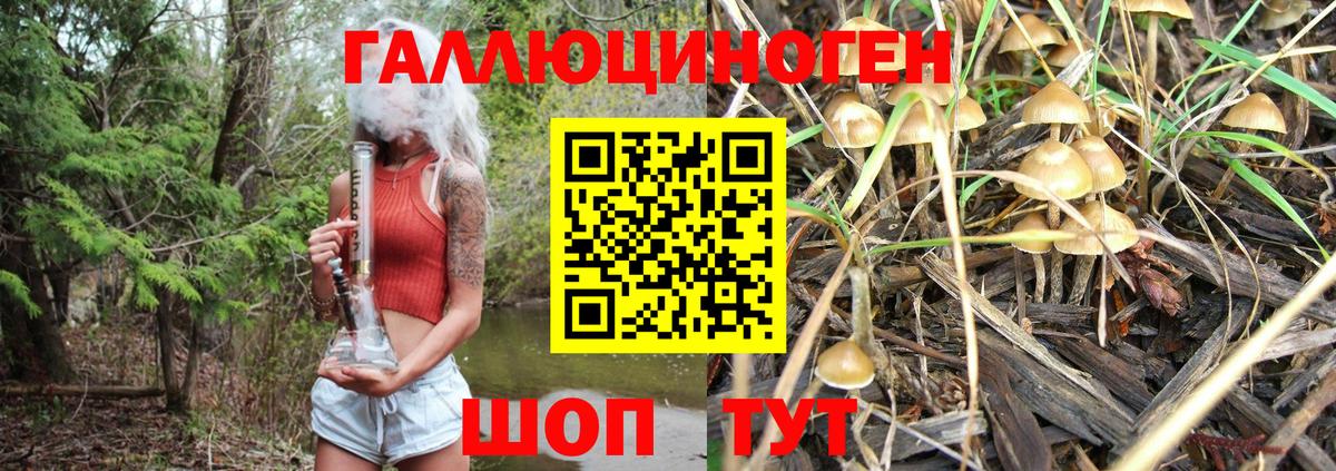 Галлюциногенные грибы прущие грибы  Галлюциногенные грибы Psilocybine cubensis  Вход с VPN  Кимры 